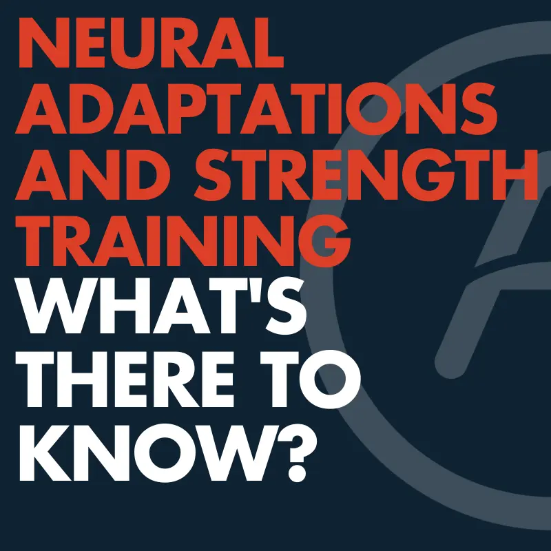 Neural Adaptations and Muscle Memory